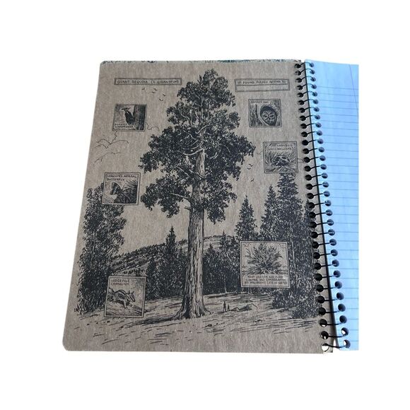 Decomposition Book Everglades College Rule 80 Sheets Gators Manatees Florida Not - Picture 3 of 6